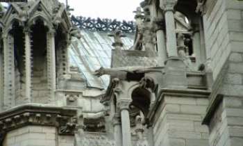 1008 | Les gargouilles - Regroupement de gargouilles qui veillent sur la cathédrale Notre Dame de Paris.