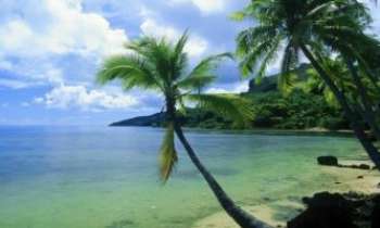 1044 | Plage - Magnifique aperçu d'une plage des Caraibes.Cela fait rêver surtout en ce mois de juillet.