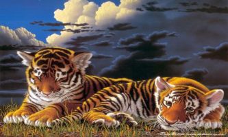 puzzle Attente, Deux bébés tigres attendent impatiemment le retour de leur mère