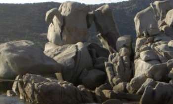 1140 | Rocher cygne - On donne à de nombreux rochers ou falaises un nom inspiré des sculptures naturelles produites par l'érosion : celui-ci ne fait pas exception à la règle.
