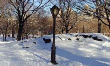 1240 | Neige à Central Park - Ce hâvre de paix, véritable et immense poumon du centre ville : un fleuron de New-York que le monde entier peut lui envier.