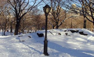 puzzle Neige à Central Park, Ce hâvre de paix, véritable et immense poumon du centre ville : un fleuron de New-York que le monde entier peut lui envier.