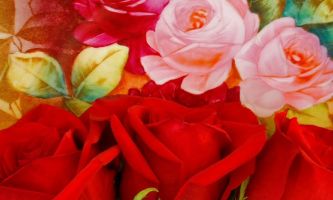 puzzle Roses de la St-Valentin, Trois roses rouges déposées sur un plateau décoré de roses roses...pour vous souhaiter à tous et à toutes une heureuse ST-VALENTIN.