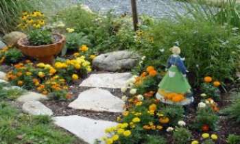 1366 | Jardin de Fée - Les fées se plaisent dans les jardins miniatures lilliputiens, les animaux de compagnie et les enfants aussi.