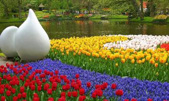 puzzle Tulipes et Jacinthes, Le Printemps au Keukenhof garden en Hollande, immense parc de détente et de fleurs, sur plusieurs hectares : une sublimation en soi de cette saison...et de la fameuse tulipe de Hollande...aussi.