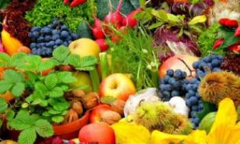 1420 | Marché - Italie - Toute l'Italie dans ce désordre magique et coloré de fruits, herbes aromatiques et légumes - Qualité, diversité et présentation artistique sont les mots d'ordre  de la plupart des marchés italiens. 