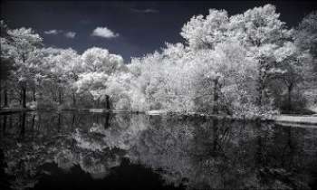 1632 | Arbres givrés - Une impression d'irréel pour ce magnifique paysage et son reflet sur l'étang. Pas tout à fait faux : il s'agit d'une photo avec filtre infra-rouge. On en voit peu, car cette technique demande une très grande maîtrise.
