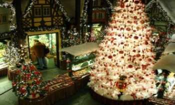 1625 | Noël  de sucre et chocolat - Un décor de Noël en sucre et chocolat...miam, miam...!...et presque grandeur nature. Il y en a pour l'année.