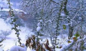 1648 | Neige sur Turin - Au nord de l'Italie, au Sud-Est de la France, la chaîne alpine du Mont-Blanc offre de superbes stations de ski pour les vacances d'hiver. Pour tous les amoureux du sport de la glisse ou simplement à la recherche des joies diverses que procurent ses pentes neigeuses.