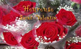puzzle Saint-Valentin, Une rose rouge pour vous souhaiter une joyeuse Saint-Valentin !