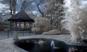 1697 | Parc et Gazebo - La saison d'hiver donne un charme très particulier à ce parc accueillant. Il fait aussi rêver déjà du printemps qui ne tardera pas à apparaître.