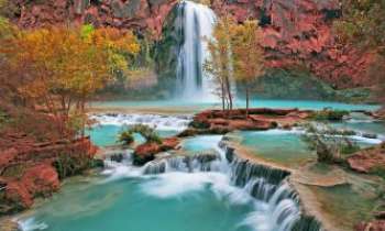 1727 | Havasu - chutes - Les chutes et cascades de Havasupai Falls, appelées plus communément "Havasu Falls" - Une des nombreuses merveilles à découvrir dans le Grand Canyon de l'Arizona. 