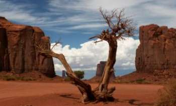1740 | Monument Valley - Monument Valley, la face Nord. Parc national, l'Arizona et l'Utah se partagent cette réserve des indiens Navajo. La couleur brun rouge de ses canyons est due à l'oxyde de fer. Très spectaculaire et photogénique, ce lieu a servi de fond à de nombreux films et publicités.