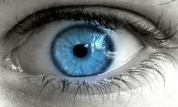 1748 | Oeil bleu - Bleu comme un ciel de printemps, cet oeil étonné qui nous regarde nous rend curieux à notre tour de connaître son visage.