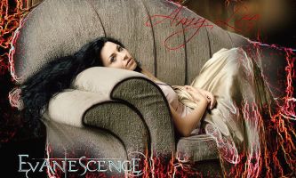 puzzle Amy Lee, Amy Lee, chanteuse gothique et mystique,  elle affectionne l'ambiance victorienne. Elle apporte à son groupe "Evanescence" le charme de sa voix lyrique et éthérée.