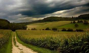 1815 | Chemin - Un chemin dans la campagne française : un paysage typique des nombreuses régions agricoles de France, sous un splendide ciel d'orage.
