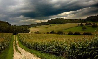 puzzle Chemin, Un chemin dans la campagne française : un paysage typique des nombreuses régions agricoles de France, sous un splendide ciel d'orage.