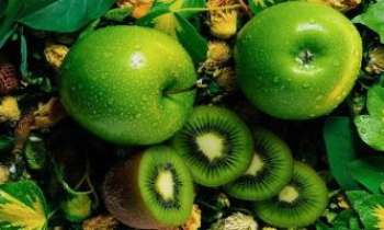 1869 | Pommes & kiwis - En dépit de sa couleur verte, la pomme reinette est sucrée et rafraîchissante, tout autant que les kiwis, réputés pour leur contenance en vitamines exceptionnelle.