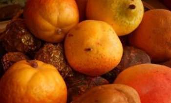1887 | Corbeille de fruits - Couleurs chaudes, entre l'automne et l'hiver pour ces fruits : mais ne croquez pas dedans, ils pourraient être indigestes...à moins de savoir distinguer entre les vrais et les faux !