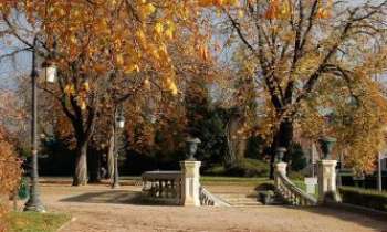 1904 | Parc - Limoges - Le parc de ville de Limoges. Dans une atmosphère d'été indien. Au XIXème siècle, la plupart des villes de France et d'Europe eurent leur parc central. Même New-York n'y échappa pas, avec son très fameux et immense Central Park.