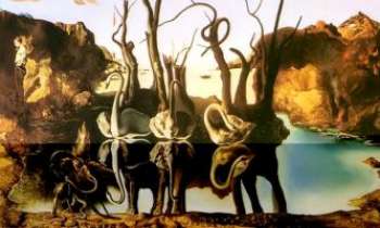 2016 | Dali - trompe l'oeil - Une des facéties du génie de Dali : le trompe l'oeil, repris des anciens. Ici, des cygnes se mirent dans l'eau, mais leur reflet devient éléphantesque.
