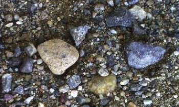 2048 | Gravier et Galets - Ces humbles pierres sur lesquelles nous marchons méritent que l'on y pose parfois aussi les yeux.