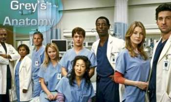 2128 | Grey's Anatomy - L'équipe au complet, pour cette télésérie sur la vie en milieu hospitalier, au succès majeur et qui perdure. Démarrée pour juste une entre-saison, elle s'est vite imposée comme une prime-time.