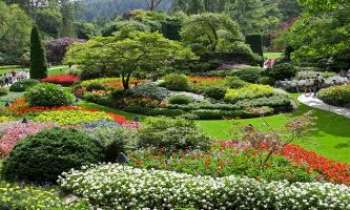 2110 | Jardin enchanté - Un endroit réputé pour sa grâce dans un des parcs de Victoria, en Australie.