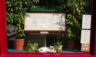 puzzle Le chat dans la vitrine, Non, non, non, le chat ne fait pas partie du menu de ce restaurant chinois !