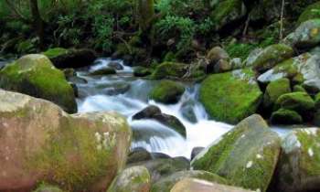 2131 | Cascade - Australie - On ressent bien ici le pouvoir de l'eau jaillissante, en compétion avec la force tranquille des rochers séculaires.