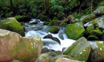 puzzle Cascade - Australie, On ressent bien ici le pouvoir de l'eau jaillissante, en compétion avec la force tranquille des rochers séculaires.
