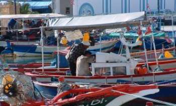 2133 | Le port de Bizerte - Une activité toujours phénoménale sur le port de Bizerte, en Tunisie. Un des endroits très prisé des touristes.