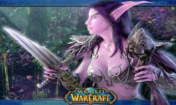 2159 | Elfe de la nuit - Un des caractères du célèbre jeu video si apprécié des multigamers online (MMORPG) : World War Craft.