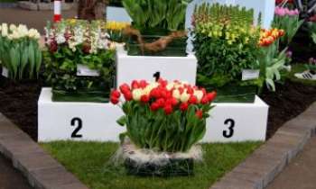 2183 | Le podium des vainqueurs - Le podium des vainqueurs, gardé par la flamme des tulipes : un beau symbole.
