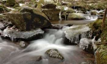 2351 | Torrent - L'eau coule à flots en ce début d'hiver dans un bouillonement joyeux parmi les rochers.