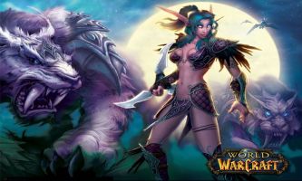 puzzle Warcraft - combat, Le design et l'infographie de ce jeu video online, qui ne dément pas son succès depuis sa parution, y sont certainement pour une bonne part. La variété des avatars proposés aux joueurs tout autant.