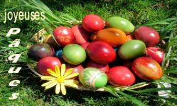 2399 | Pâques printanières - Joyeuses Pâques à toutes et tous !