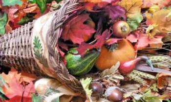 2503 | Corne d'abondance - Cette corne d'abondance déverse ses trésors de l'automne, ceux qui réjouiront nos yeux tout comme nos papilles, durant cette saison.