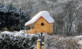 2593 | La maison des oiseaux - Dans le Morvan, où la neige ne manque pas en hiver, on n'oublie pas le bois pour offrir aux oiseaux aussi des abris chaleureux.