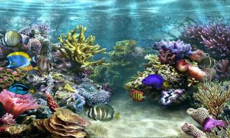 puzzle Au fond des mers, Les aquariums géants dont beaucoup de villes se sont dotées permettent à leurs nombreux visiteurs d'explorer les fonds marins exotiques à leur tour.
