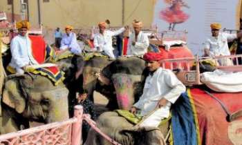 2667 | Eléphants et Cornacs - Si Agra est réputée pour son fort et sa proximité avec le Taj Mahal, une ville où la tradition des cornacs et de leurs éléphants est encore très présente. Tout évènement de quelque importance ne saurait être célébré sans eux.