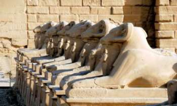 2663 | Allée des Sphinx - Karnak - En Egytpe à Louxor : devant le temple de Karnak, dédié au dieu Amon, se trouve
cette allée des sphinxs à tête de bélier, l'animal préféré de la divinité. Sur ces sphynxs on peut voir le cartouche de Ramsès II apposé.