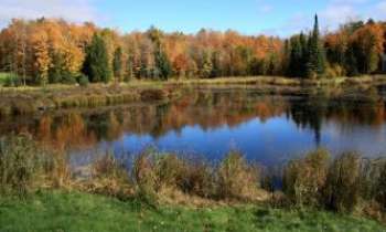 2779 | Eté Indien - Lac - Les magnifiques couleurs des étés indiens au Canada : à la saison
d'automne - Un souvenir inoubliable pour ceux/celles qui les découvrent
pour la première fois.