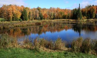 puzzle Eté Indien - Lac, Les magnifiques couleurs des étés indiens au Canada : à la saison
d'automne - Un souvenir inoubliable pour ceux/celles qui les découvrent
pour la première fois.