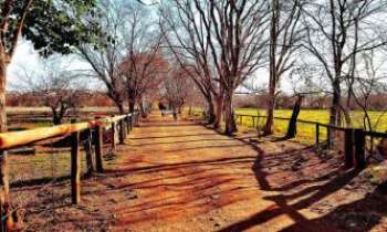 2787 | Afrique du Sud - Route - Une route de campagne en Afrique du Sud. De quoi réchauffer un peu l'hiver de ceux qui ne jouissent pas de ce climat ou qui rêvent de grands espaces.