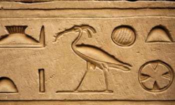2827 | Hiéroglyphes - Les hiéroglyphes trouvés sur les bas-reliefs des temples et monuments funaires des Egyptiens ont permis de déchiffrer ce langage, et de retracer la grande
Histoire de la civilisation égyptienne antique.