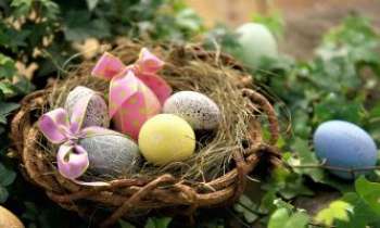 2874 | Les oeufs de Pâques - Et voilà vous avez trouvé les oeufs qui étaient cachés dans le jardin, alors je vous souhaite de Joyeuses fêtes de Pâques 2011 !