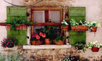 2909 | Fenêtre fleurie - Jardinières, pots, pour fleurir les jardins des villes au balcon, et
réjouir les yeux du passant.