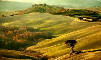 puzzle Paysage Toscan, Les merveilles du paysage de la Toscane, en Italie, magnifiées
par le traitement "tableau" de cette photo ! Dans le style des
grands maîtres italiens qui en on fait leur réputation, tout autant
que celle de la région.