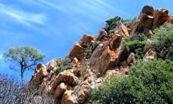 2954 | Calanque - Piana, Corse - Les très fameuses roches rouges des calanques de Piana en Corse. Les aiguilles acérées de cette roche tranchent au-dessus du maquis, composé d'arbousiers, genévriers et bruyères. Le tout sous un ciel bleu azuréen.
